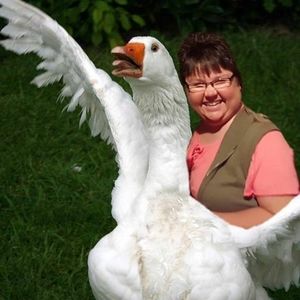 Meet your Posher, Chrisie